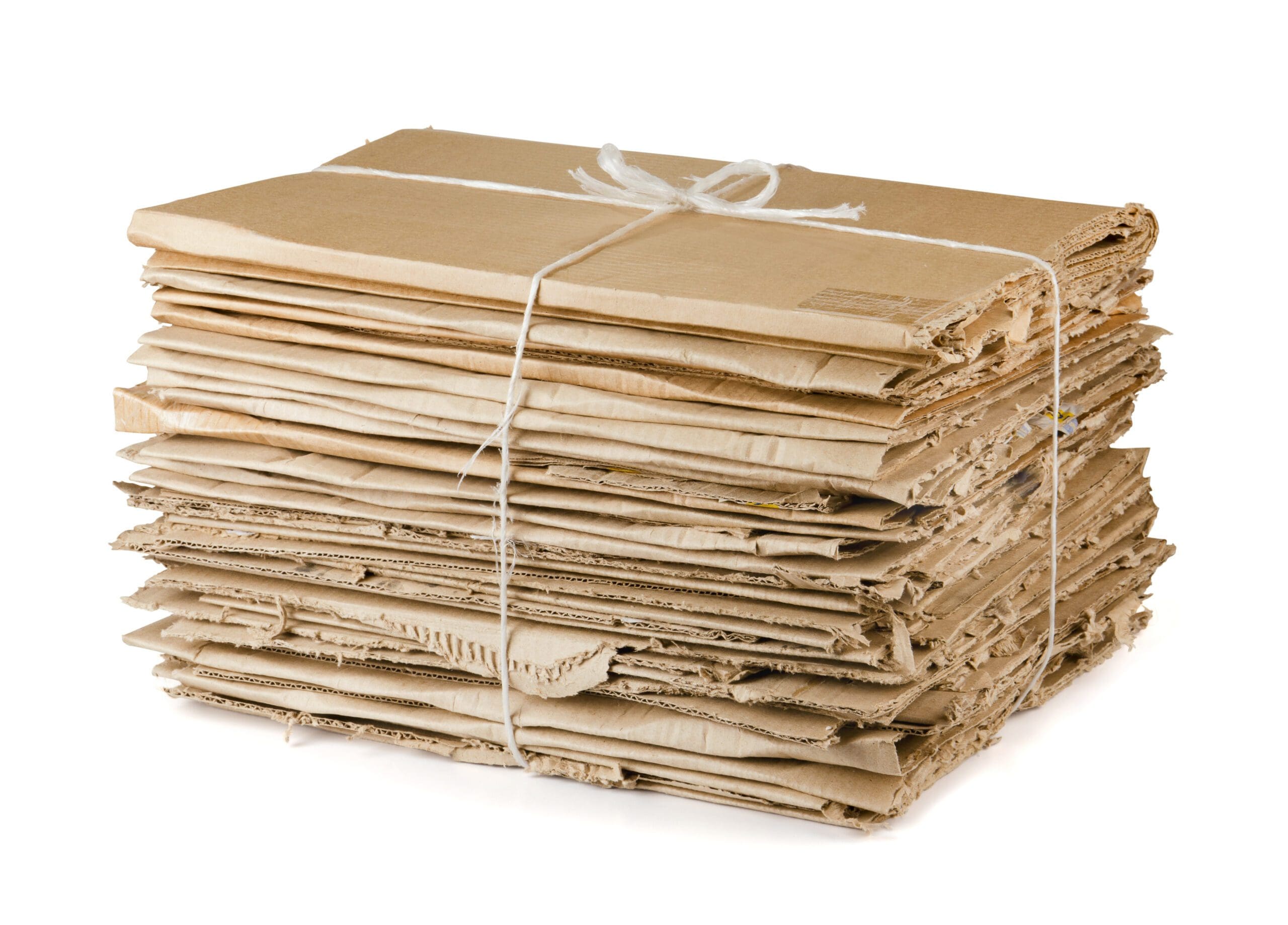 Waste cardboard bundle for recycling isolated on white